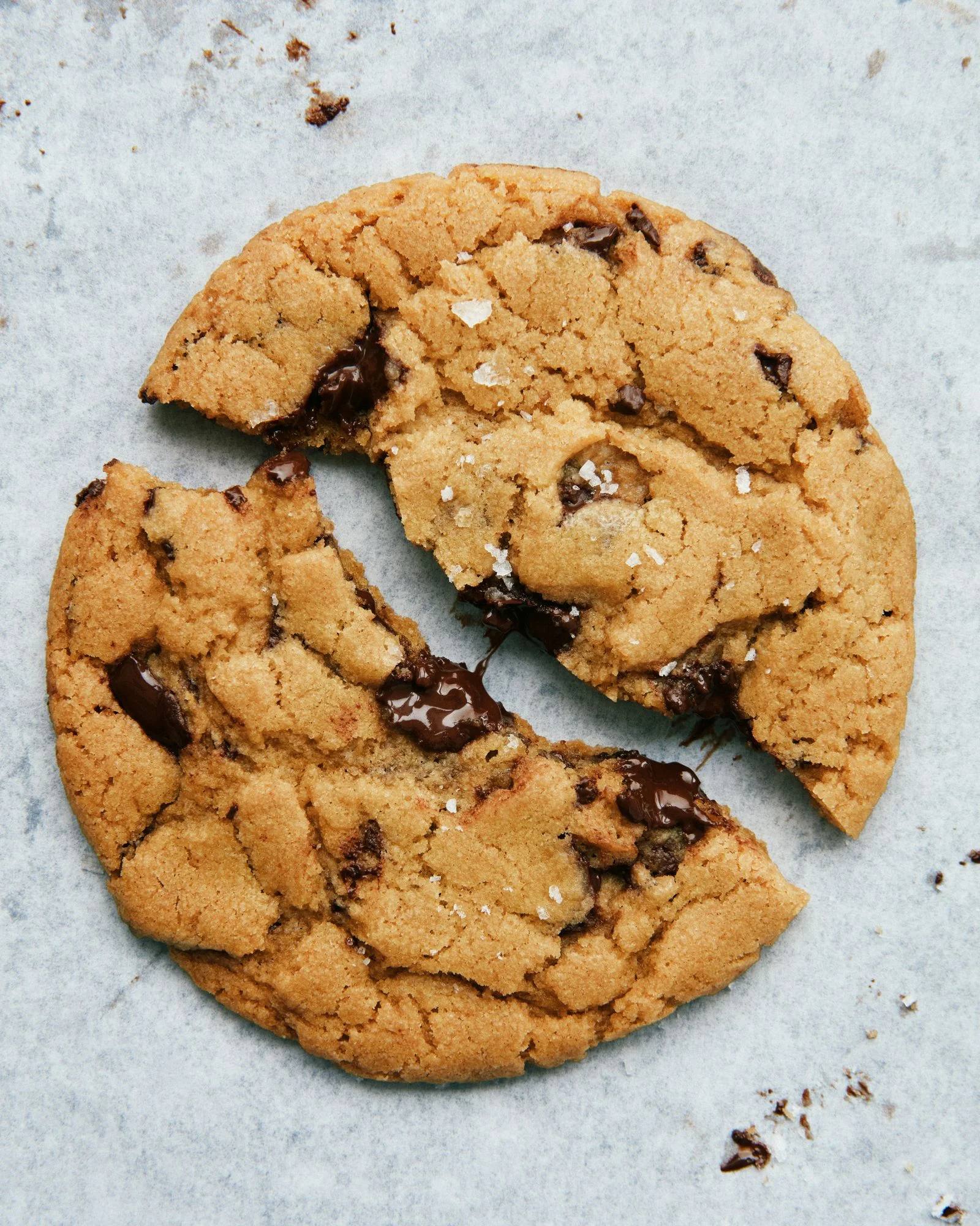 A chocolate chip cookie on a sheet tray.