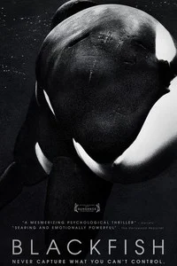 Blackfish