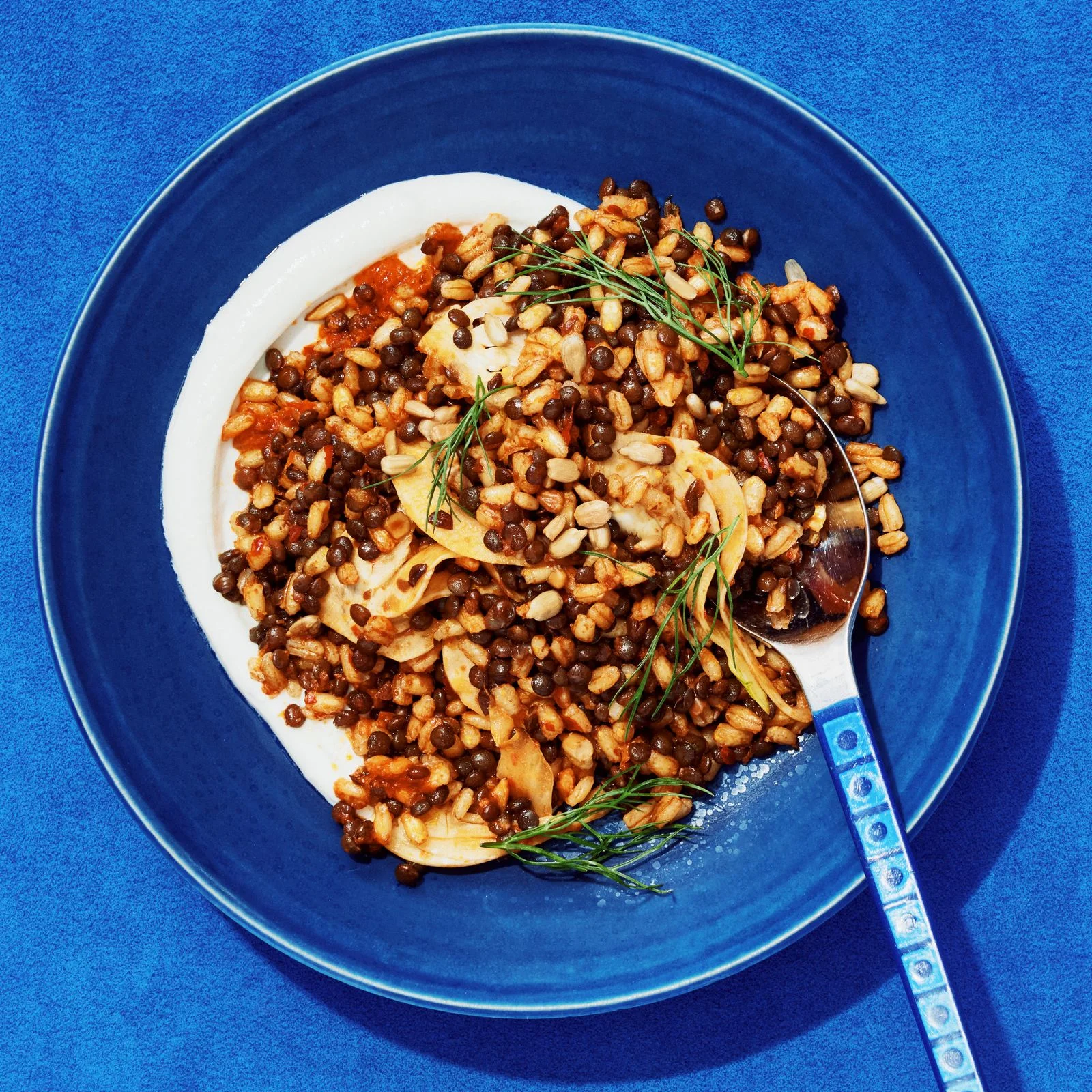 A bowl of spiced barley and lentils with sliced fennel a harissa dressing and fennel fronds.