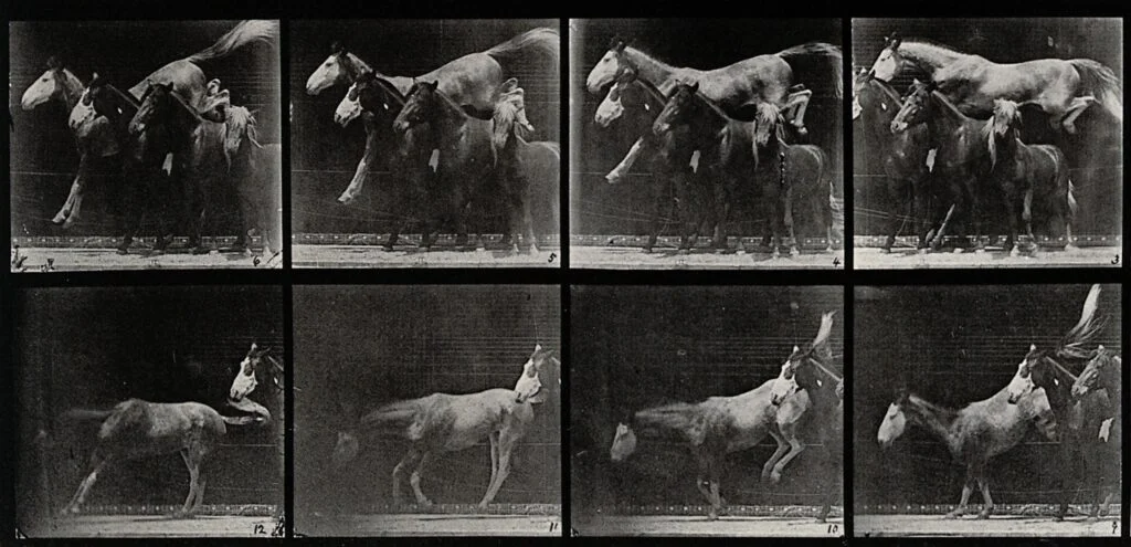 Three Horses