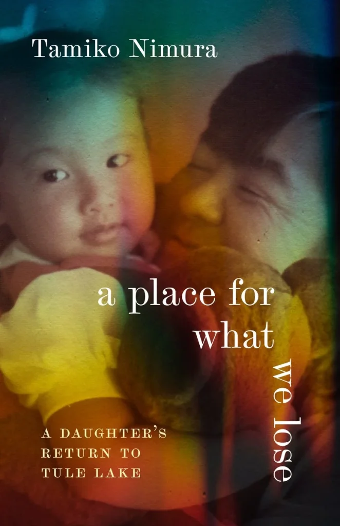 Exploring Generational Narratives Through Family Archives in Literature