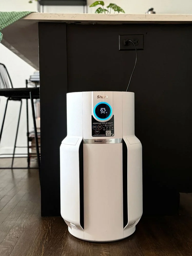 Image may contain: Chair, Furniture, Robot, Home Decor, Rug, and Device